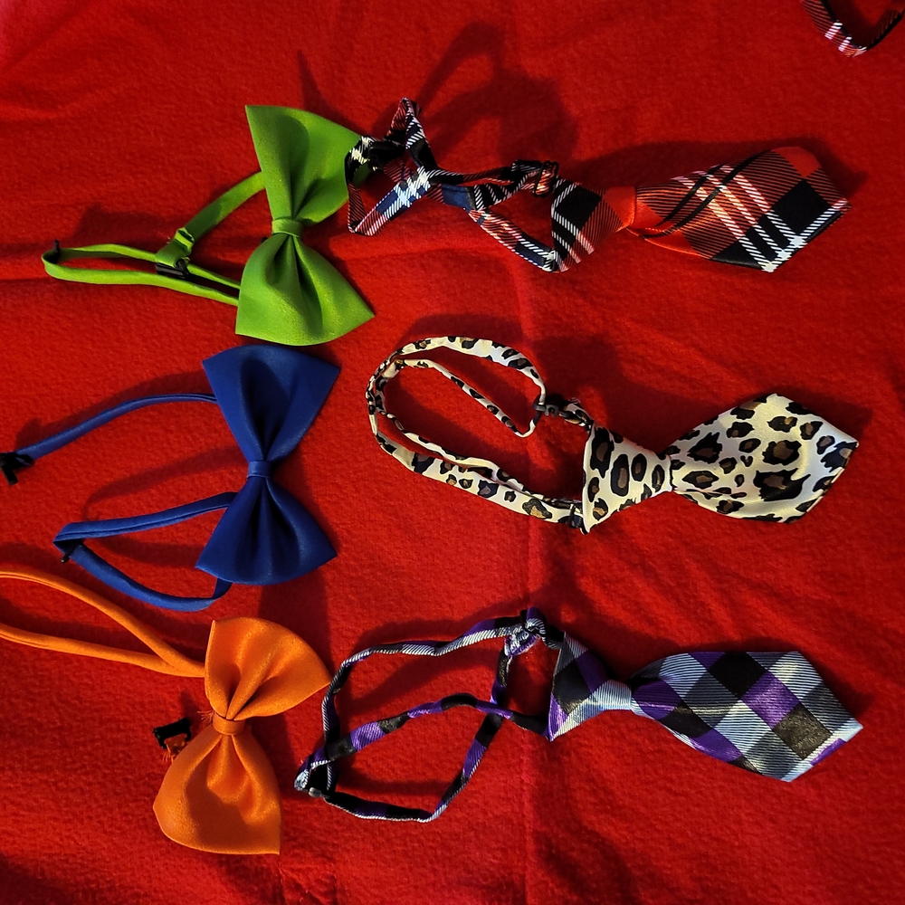 doggie ties or bow ties